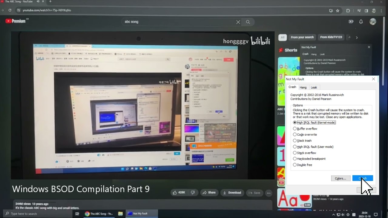 Windows BSOD Compilation Part 9 has BSOD