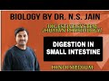 Digestion in Small Intestine (Digestive System) Human Physiology | Hindi Medium