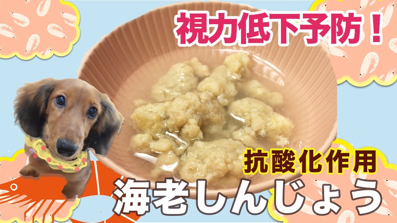 犬の糖尿病対策 薬や治療食に頼らない手作り犬療法食レシピ Youtube