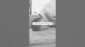 لَا تَدْرِي لَعَلَّ اللَّهَ يُحْدِثُ بَعْدَ ذَلِكَ أَمْرًا | القارئ رعد الكردي