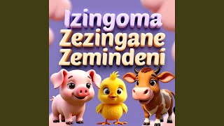 Kuneqwa Susu Impungushe