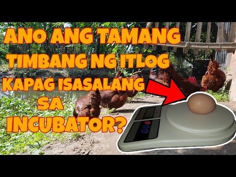 Video: Anong timbang ang isang dram?