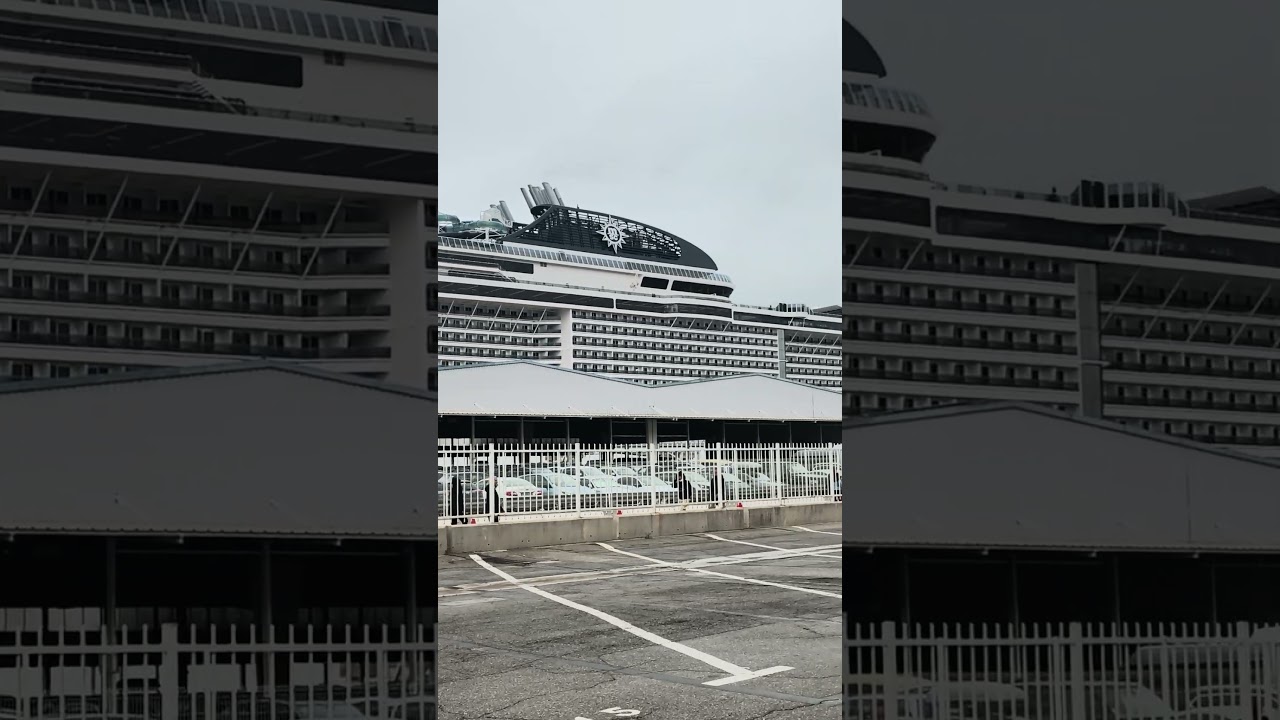 MSC CRUISES FAMILY REUNION #msc #msccruise #mscmeraviglia #mscopera #mscsplendida #fypシ #cruiseship