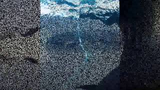 The Wild Country By John Denver