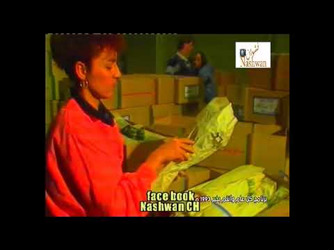 مايز البياع بكام الورد يامعلم