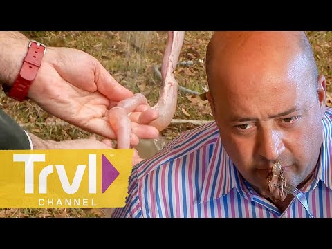 Eating Raccoon & Intestine in the South! | Bizarre Foods with Andrew Zimmern | Travel Channel