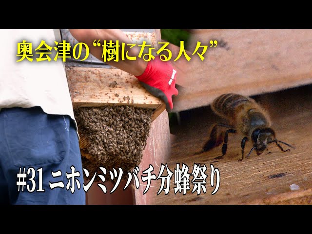 ニホンミツバチの蜂蜜　出不精ママ ニホンミツバチの蜂蜜 出不精ママ様専用