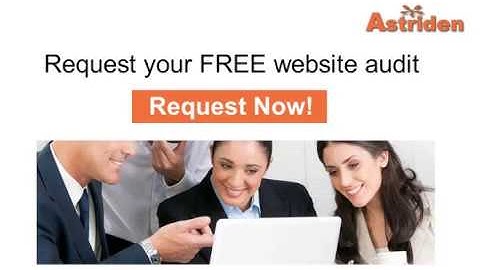 Professional SEO Audit Service