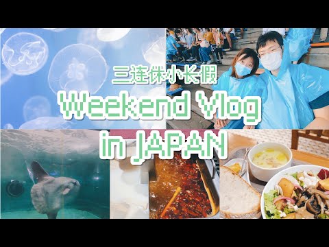 Weekend Vlog在日本. 东京华人的周末|水族馆 美食探店 Costco购物分享|孕初期生活记录|东京周边游玩推荐
