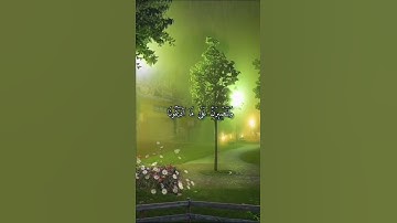 روائع التلاوات للقارئ حمزه بوديب