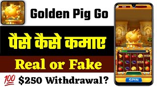 Golden Pig Go Real or Fake - Golden Pig Go Withdrawal - Golden Pig Go Game - Golden Pig Go screenshot 2