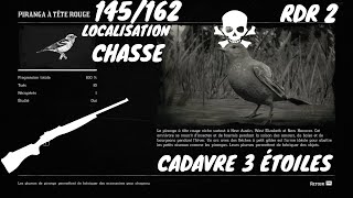 Tout Les Animaux: 145/162  Le Piranga à Tête Rouge (Localisation) Red Dead Redemption 2