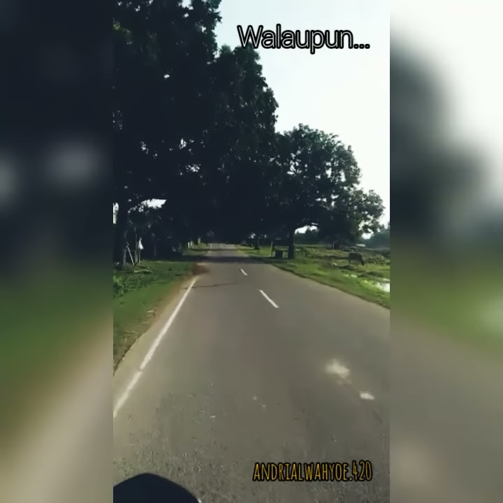 Story Whatsapp Walaupun Terbentang Jarak di antara kita lirik