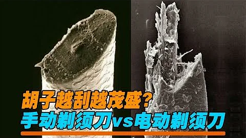 鬍子越刮越茂盛？手動剃鬚刀vs電動剃鬚刀，放大1000倍看效果 - 天天要聞