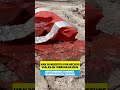 Van 20 muertos por hechos vilares en Torreón en 2026