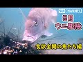 ひたすらウニを駆除する人間とひたすら食べる魚たち