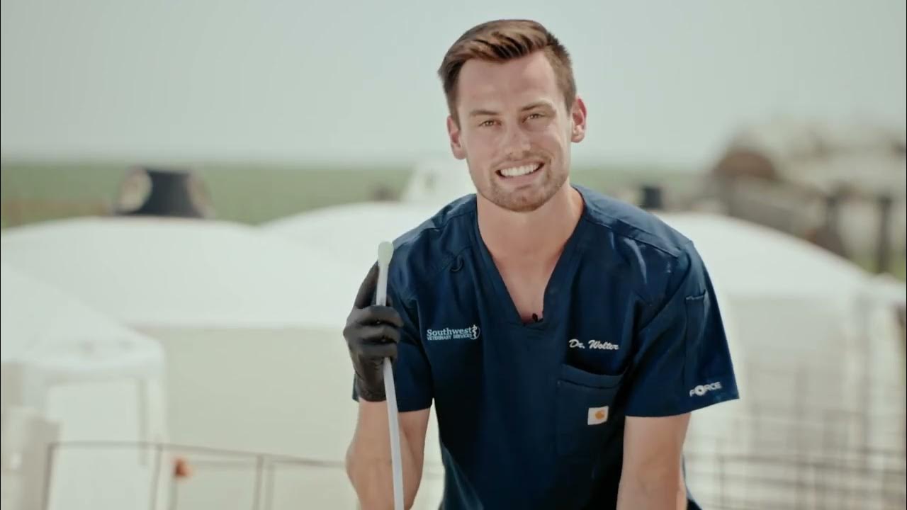 How to Tube a Calf with Dr. Spencer Wolter YouTube