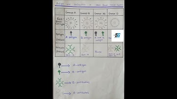 #ABO BLOOD GROUP SYSTEM|| #Antigen and Antibodies in ABO Blood Group System|| #Multiple Alleles