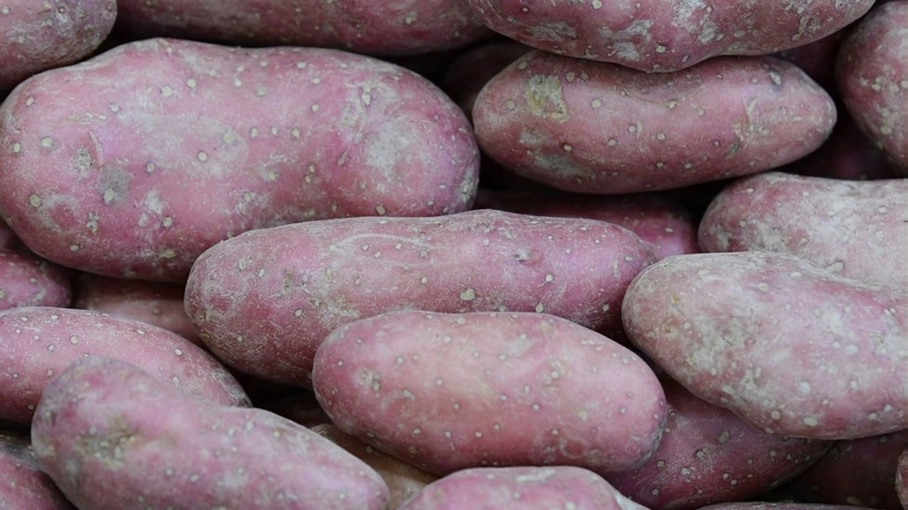 News Update Chinese scientists to grow potatoes on the moon 14/06/17