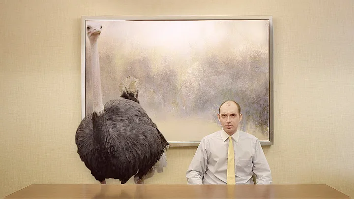 Breakroom Ostrich - Doritos Crash the Super Bowl