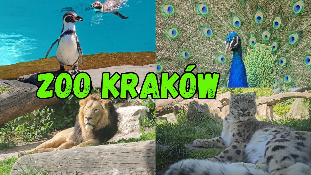 ZOO Kraków