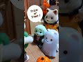 【シルバニア】ハロウィンパーティー〈公式〉 #shorts