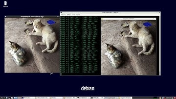 Math & Generative Art - Pontilhism Code: Cats