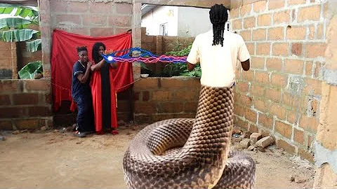 Snake Money | Mark Angel Comedy | OGB Recent | Sirbalo Comedy | Brainjotter Comedian