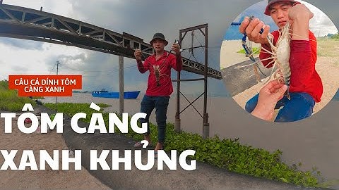 CÂU ĐƯỢC TÔM CÀNG XANH KHỦNG BÃI CÁT CỒN CHÂU MA