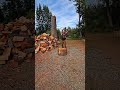 today's chop #father #wood #woodsplitting #firewood #homeworkout #axe