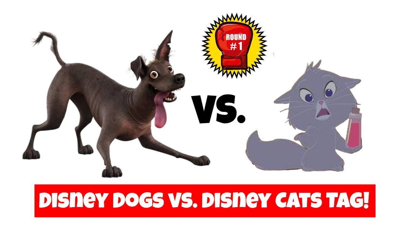 Disney Dogs vs. Disney Cats Tag! | #T4OMVP