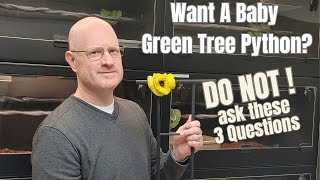Famous 3 Questions to Avoid When Baby Green Tree Python Shopping - And an Exclusive Offer! Net Worth