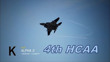 Ace Combat 7  Multiplayer671 with F-15J + HCAA