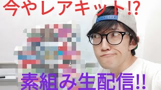 今やレアキット!?なあのキットを製作生配信！前編