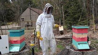 How to Install a Honey Bee Nuc