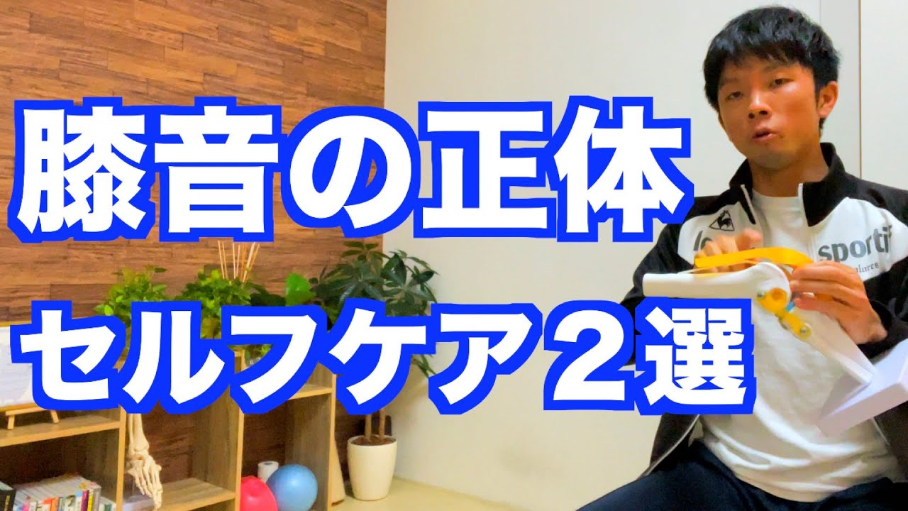 【膝音＆膝痛の改善セルフケア】「ミシミシ」「ポキポキ」と音が鳴る「膝音の正体」を解説！膝の噛み合わせを解消するエクササイズ２選！【愛媛県松山市　変形性膝関節症・膝痛】