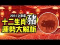 林海陽 準！準！準！2024生肖「豬」上半年運勢詳解‥快看‥！！