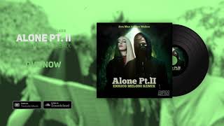 Alan Walker & Ava Max - Alone (Enrico Meloni Remix)