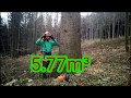 Working in forest 5.77m³, 304-2019, Im wald arbeiten, Práce v lese 🇨🇿