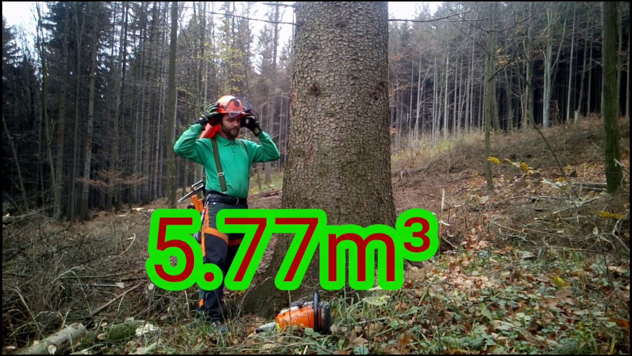 Working in forest 5.77m³, 304-2019, Im wald arbeiten, Práce v lese 🇨🇿