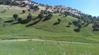 Efsane Şiir (Oy Sevmişem Ben Seni) Resimi