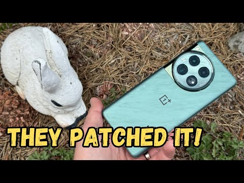 OnePlus 12 Review