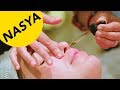 Nasya: An Ayurvedic Treatment for Nose Congestion | The SASS with Susan and Sharzad