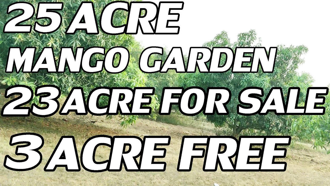 25 ACRE MANGO GARDEN | 23 ACRE FOR SALE| 3 ACRE FREE | ACRE ₹ 3,00,000 | PROPERTY PROMOTION  TV
