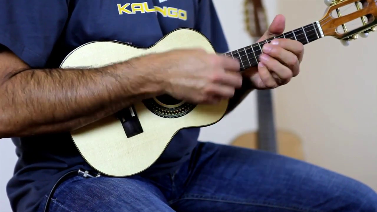 Rozini Clássico カヴァキーニョ Cavaquinho Classico eléctrico - Rozini (A316021 - kalango.com