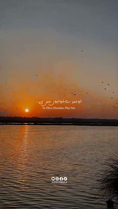 Saraab | Drama | OST | Urdu Lyrics | Song | Status | Naveed Nashad | Qamar Nashad | Hum Tv Network