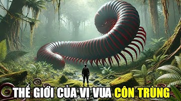 Thời Đại Côn Trùng Khổng Lồ | Khám Phá Thế Giới Động Vật Tiền Sử
