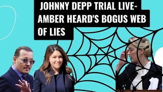 Amber Heard's Cross Examination in Johnny Depp Trial