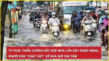 TP HCM: Triều cường kết hợp mưa lớn gây ngập nặng, người dân “chật vật” về nhà giờ tan tầm