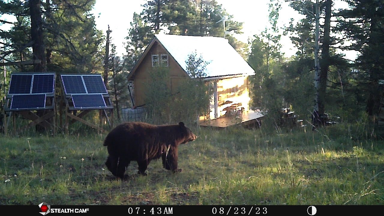 Image showcasing Best Place To Live Off Grid in USA